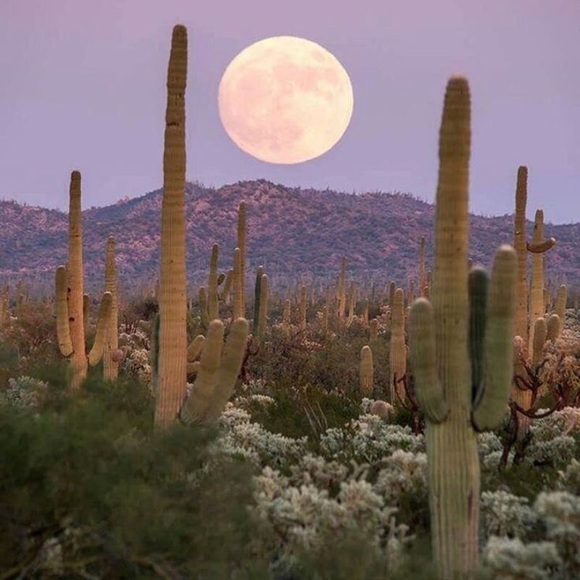 Meet your Posher, Whitney - Picture 6 of 6